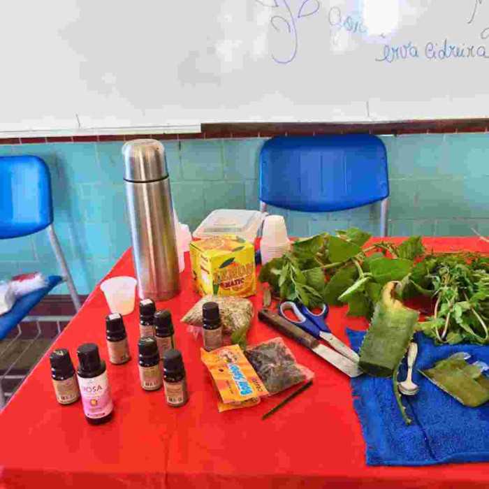 Plantas Medicinais 