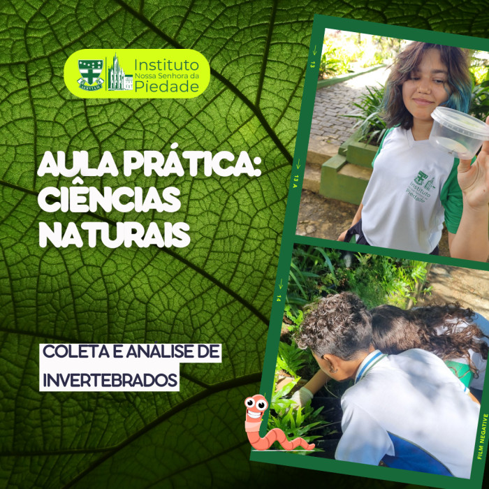 Aula prática - Análise de invertebrados