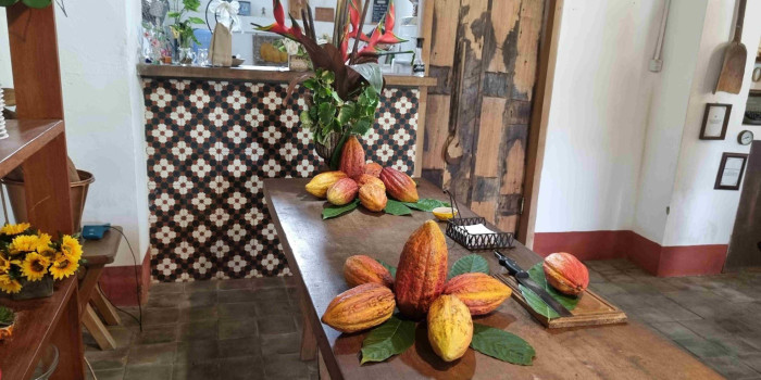 Aula de campo - Visitando a Capela Velha 