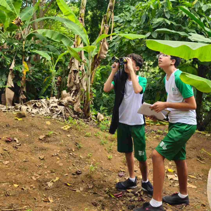 Observação de pássaros