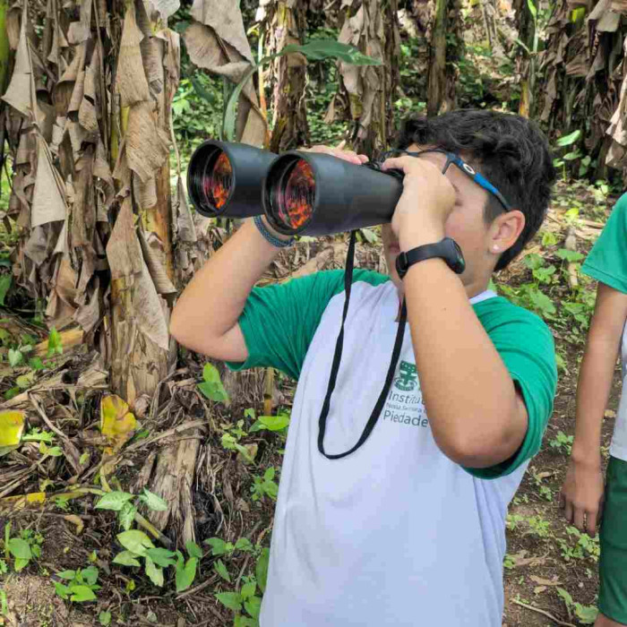 Observação de pássaros
