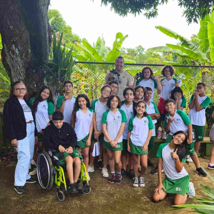 Observação de pássaros