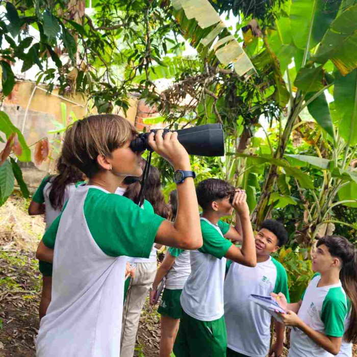 Observação de pássaros