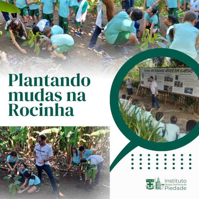 Plantando na Rocinha