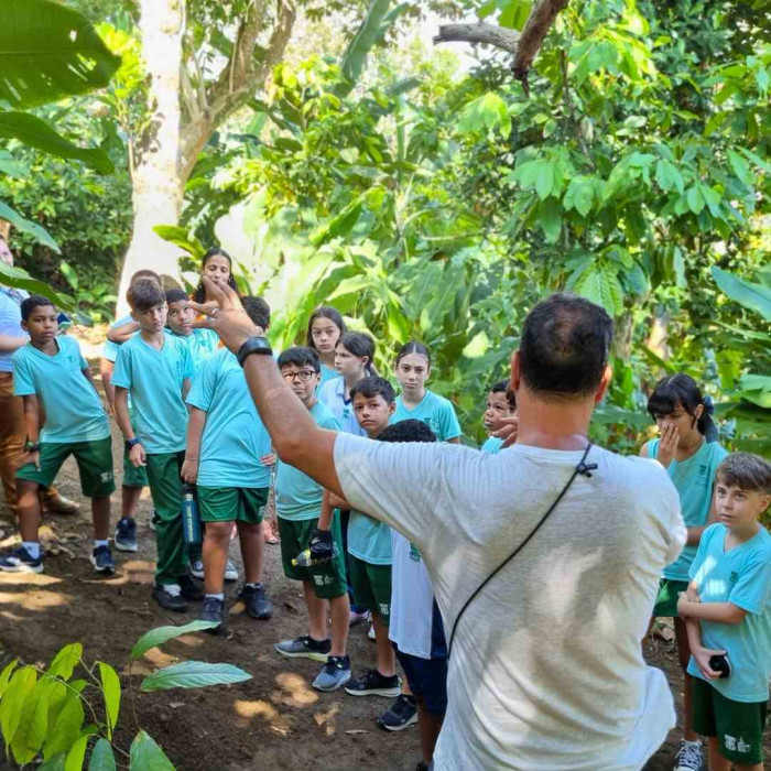 Plantando na Rocinha