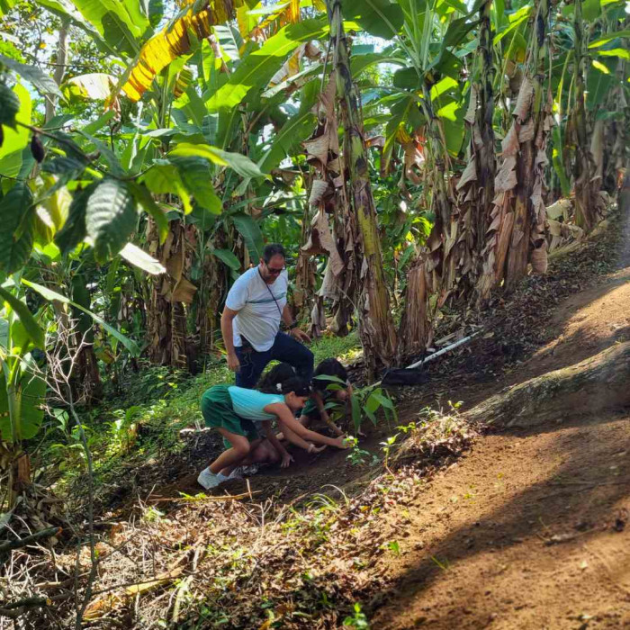 Plantando na Rocinha