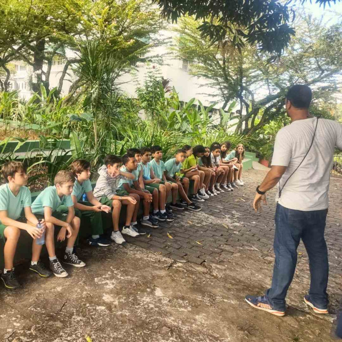 Plantando na Rocinha