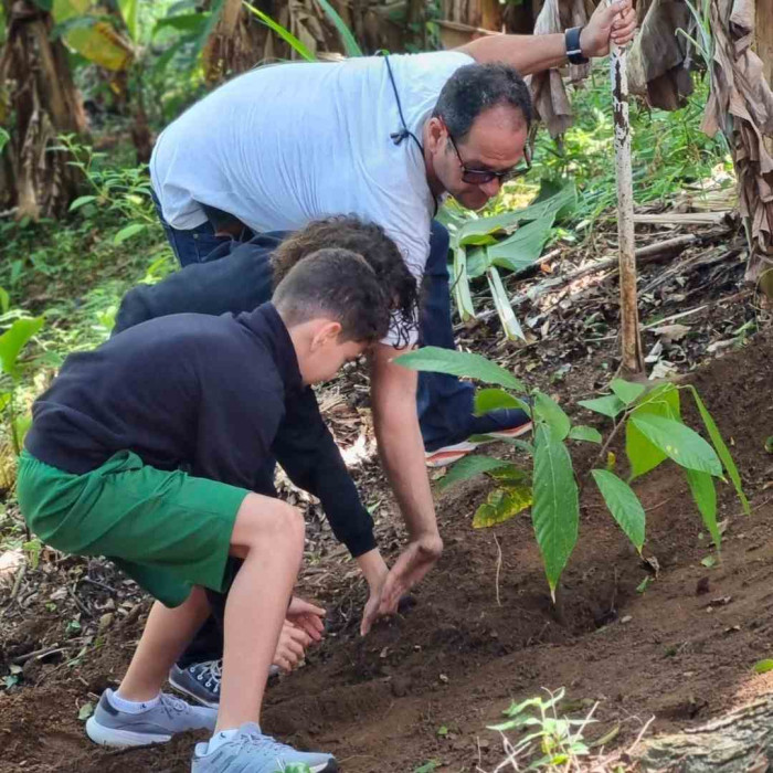 Plantando na Rocinha