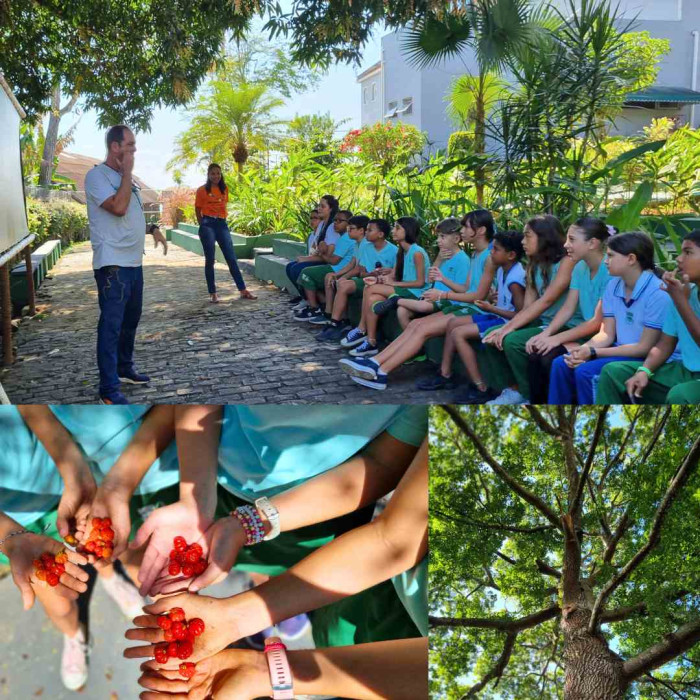 Plantando na Rocinha