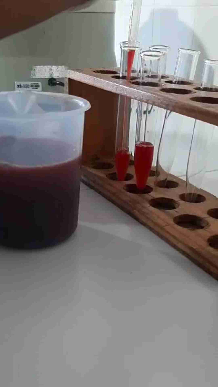 Itinerário de Química