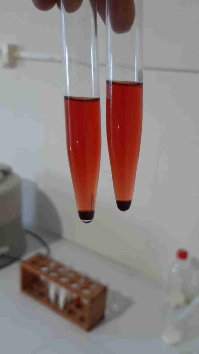 Itinerário de Química