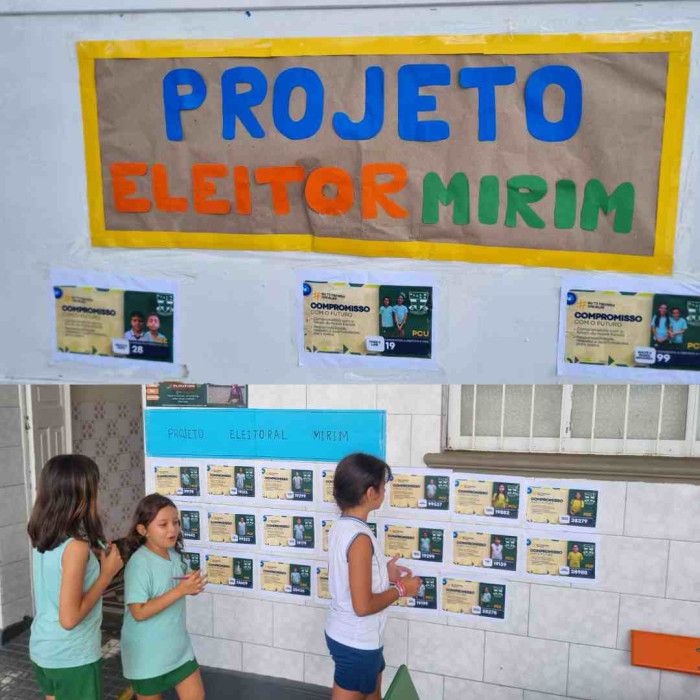 Eleições  Mirim