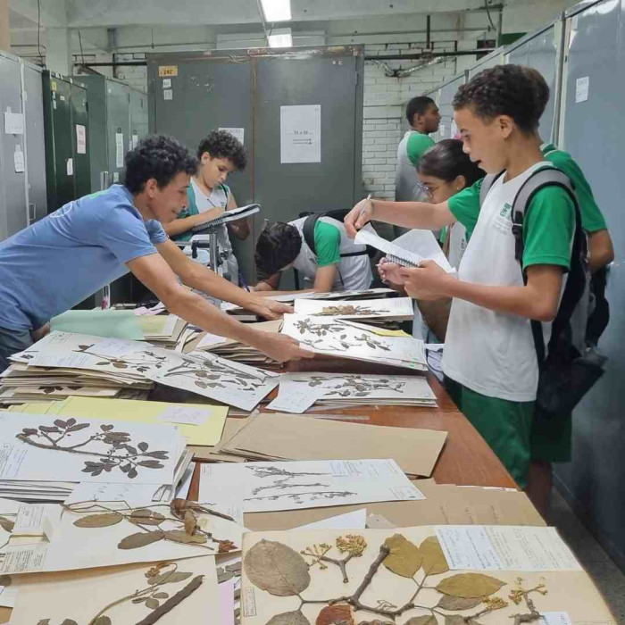 Aula de Campo - UFSB