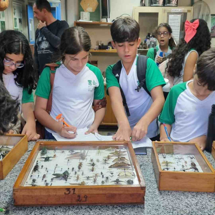 Aula de Campo - UFSB
