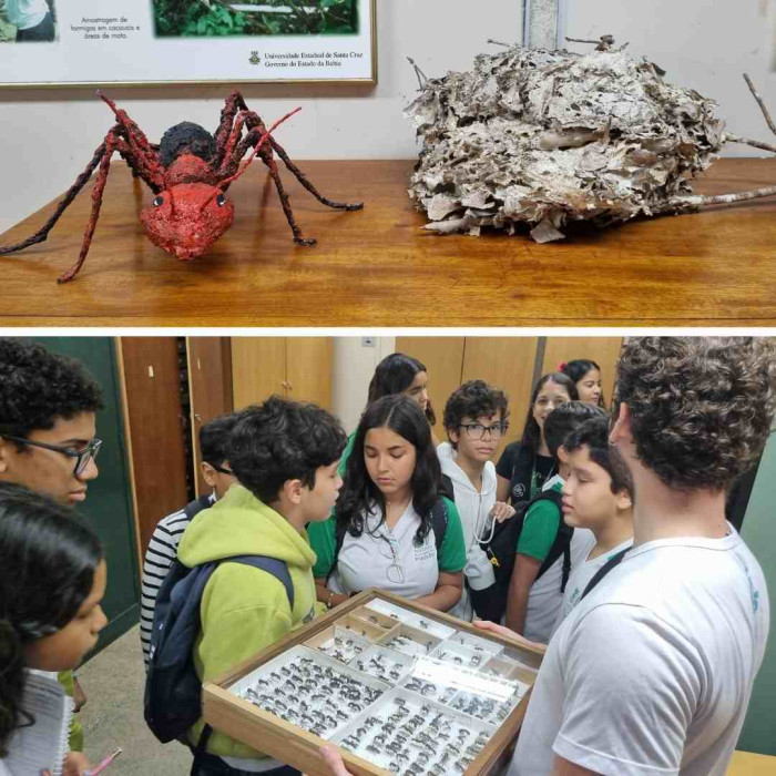 Aula de Campo - UFSB