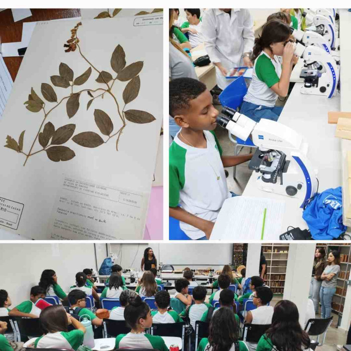 Aula de Campo - UFSB