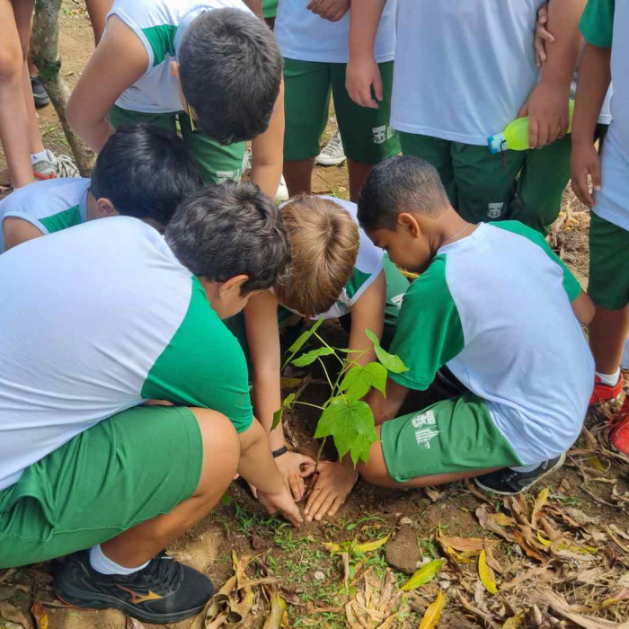 Projeto Corpo em Movimento Planeta em Equilíbrio