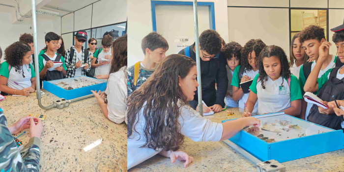 Aula de Campo - UESC 