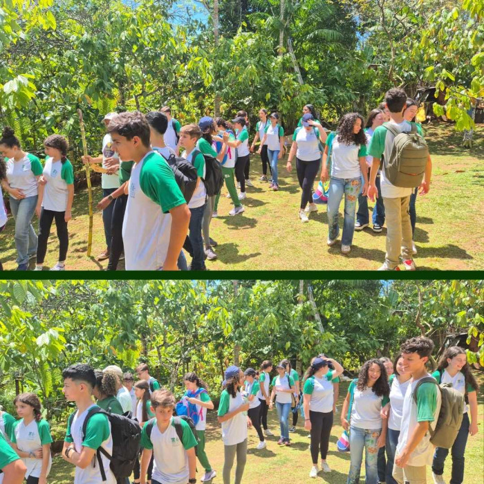 Aula de Campo - 9ºs anos