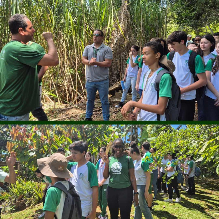 Aula de Campo - 9ºs anos