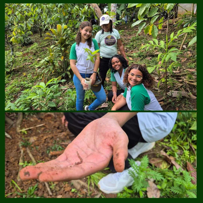 Aula de Campo - 9ºs anos