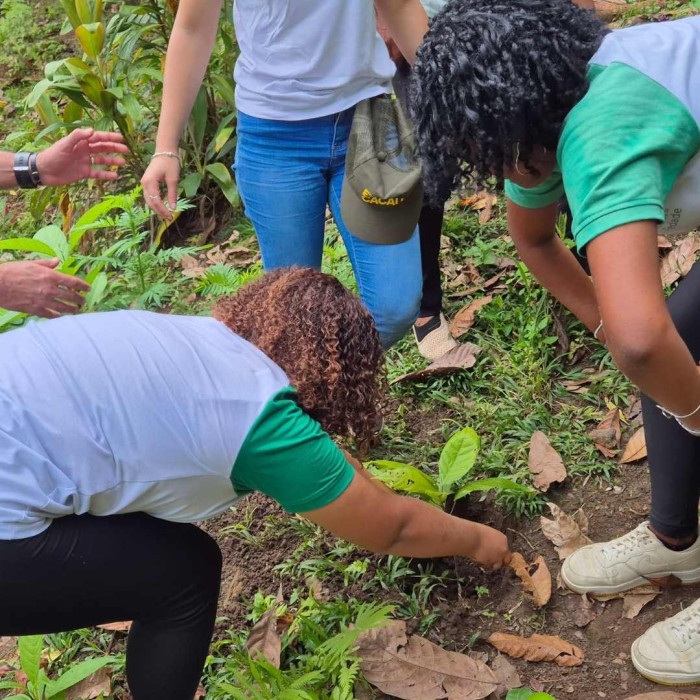 Aula de Campo - 9ºs anos