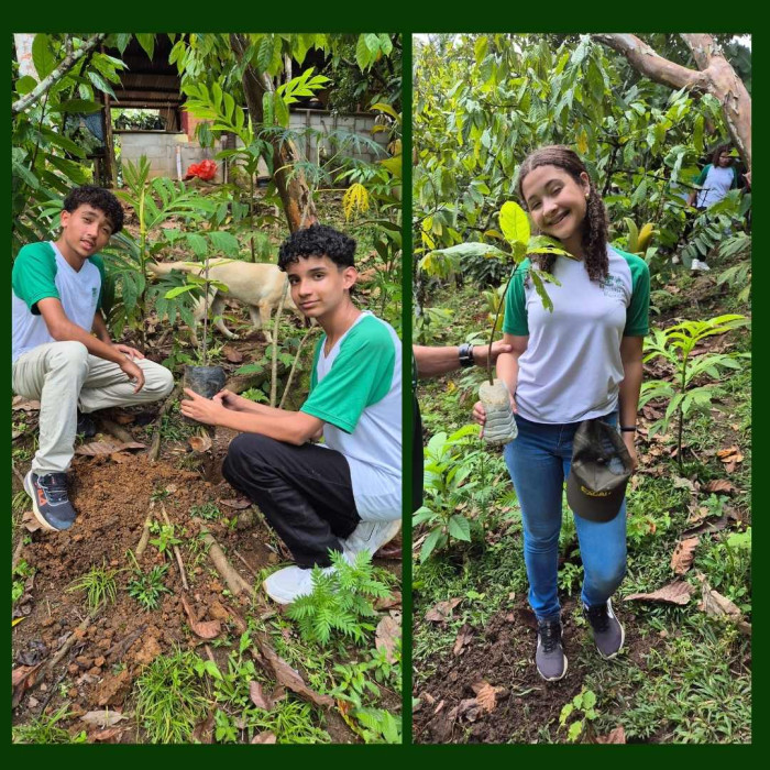 Aula de Campo - 9ºs anos