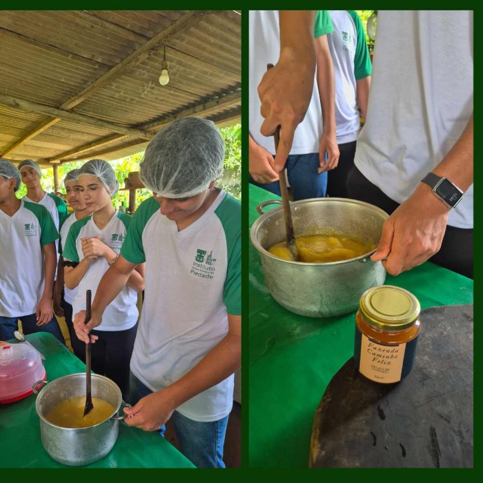 Aula de Campo - 9ºs anos