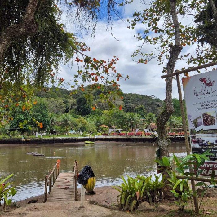 Aula de Campo - 9ºs anos