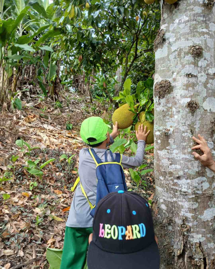 Explorando a Rocinha 