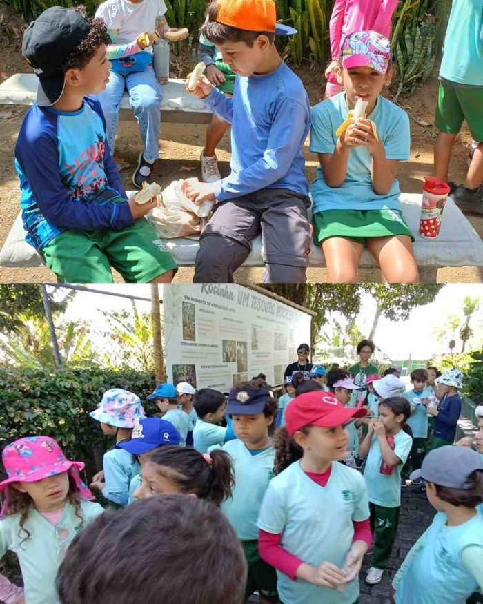 Explorando a Rocinha 