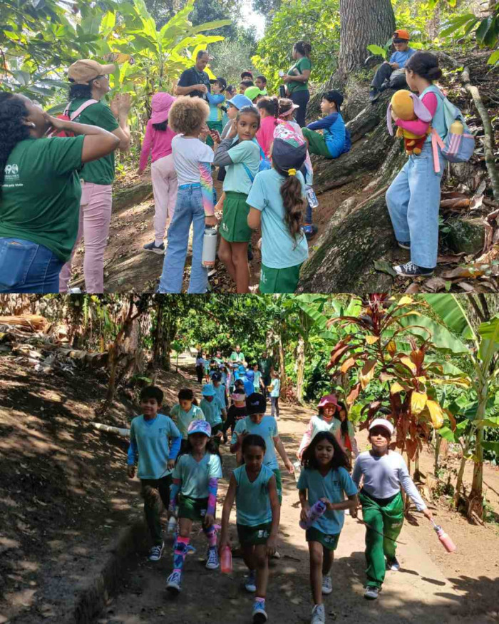 Explorando a Rocinha 
