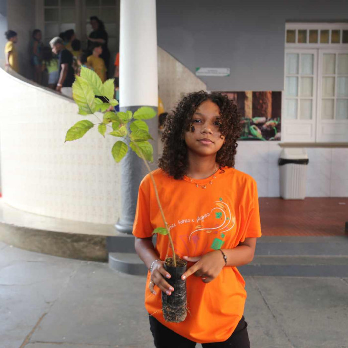 Mudas de Ipê - Doação do Viveiro Educador da Embasa