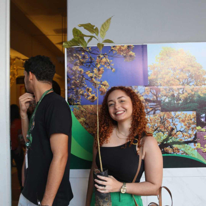 Mudas de Ipê - Doação do Viveiro Educador da Embasa