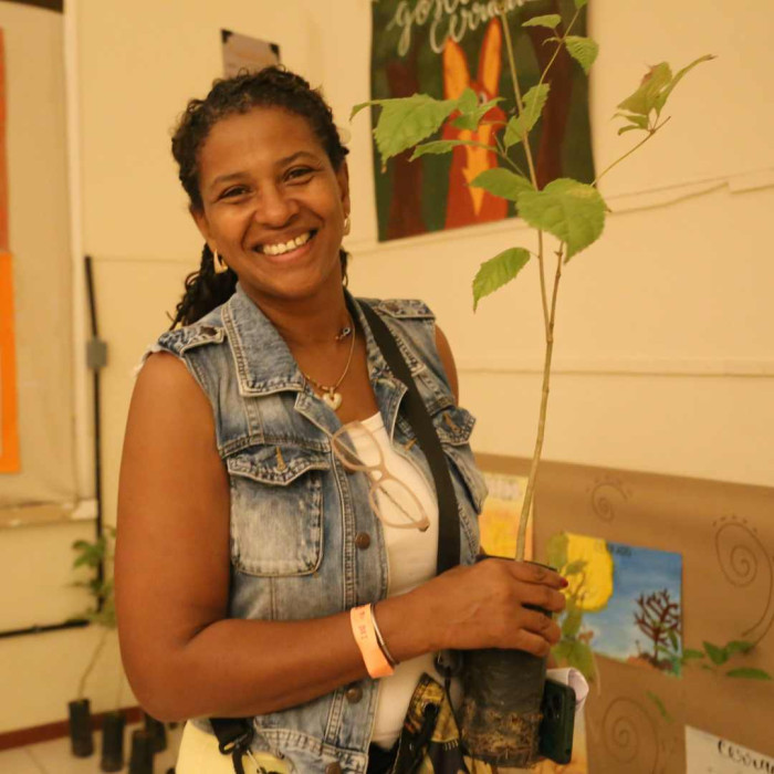 Mudas de Ipê - Doação do Viveiro Educador da Embasa