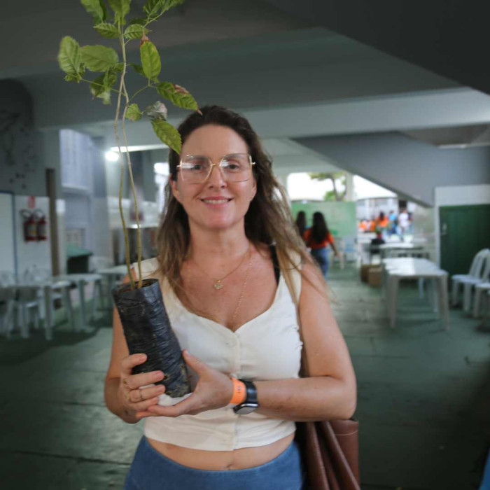 Mudas de Ipê - Doação do Viveiro Educador da Embasa