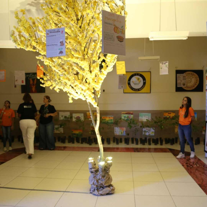 Mudas de Ipê - Doação do Viveiro Educador da Embasa