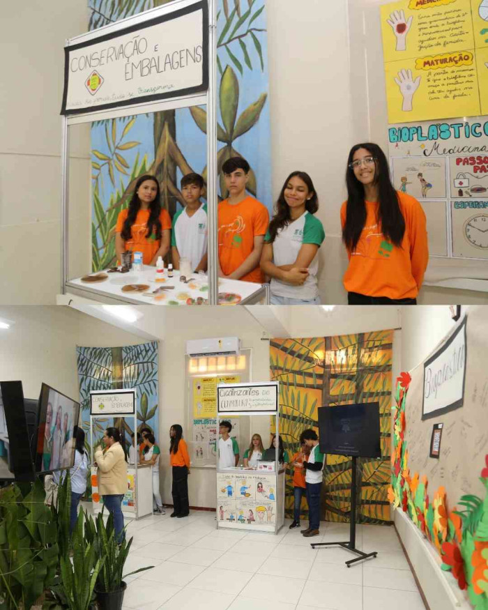 Registros FLINSP 2025