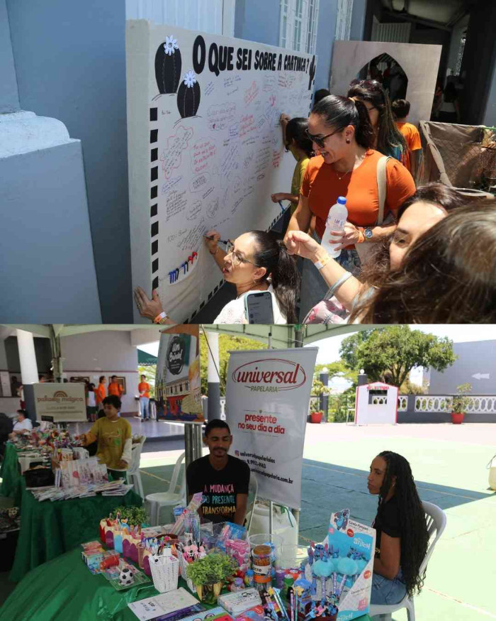 Registros FLINSP 2025