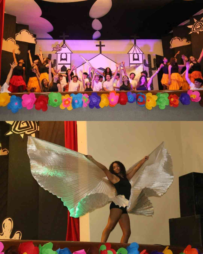 Registros FLINSP 2025