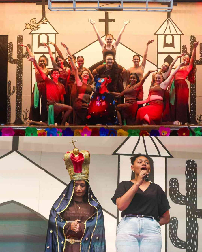 Registros FLINSP 2025