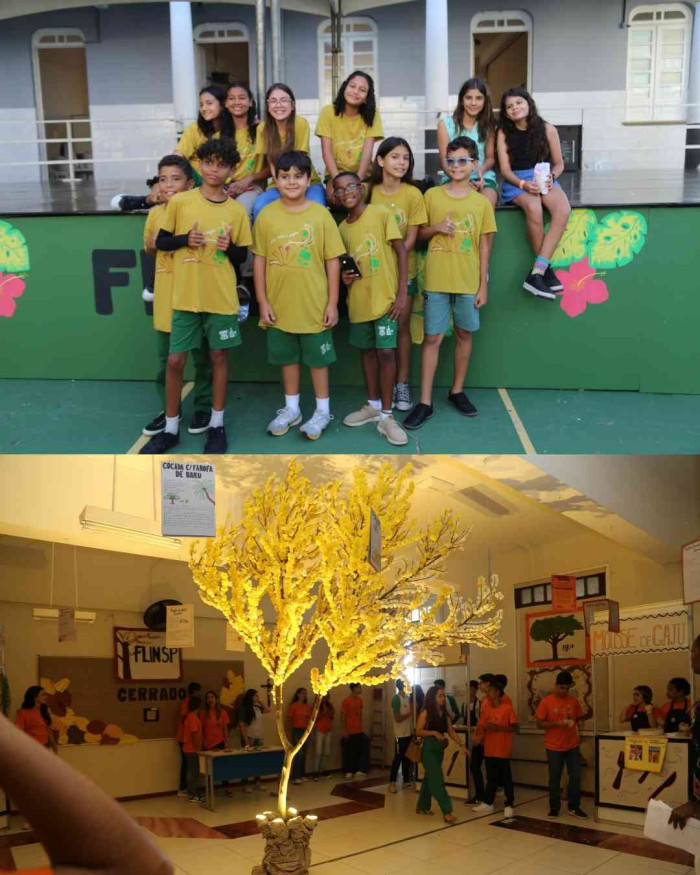 Registros FLINSP 2025