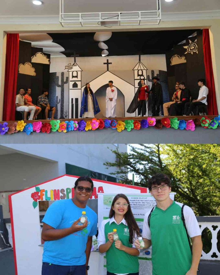 Registros FLINSP 2025