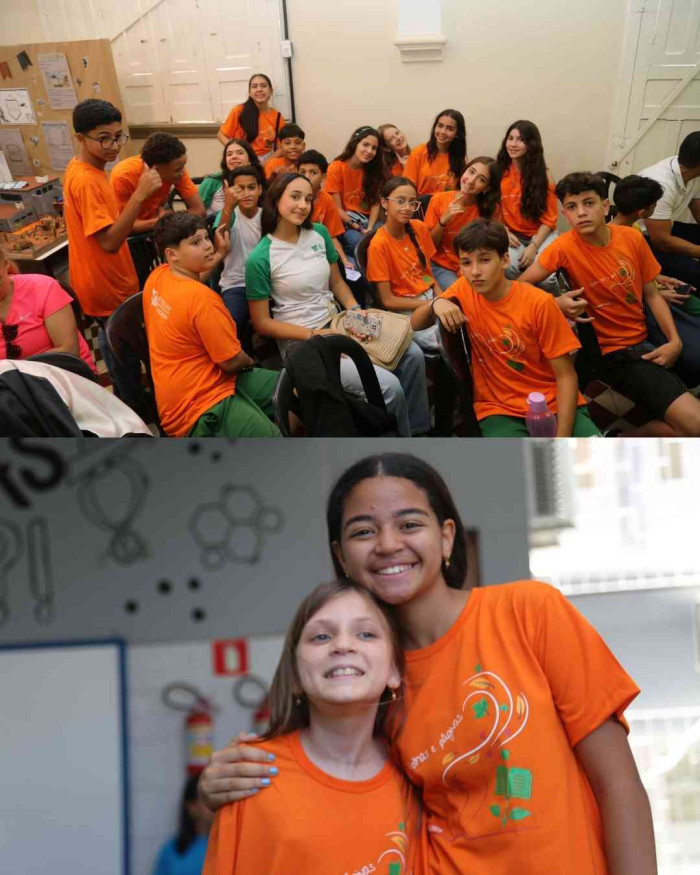 Registros FLINSP 2025