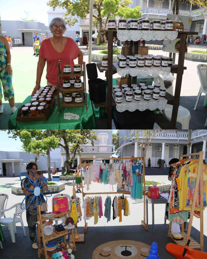 Registros FLINSP 2025