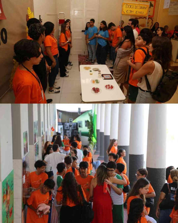 Registros FLINSP 2025