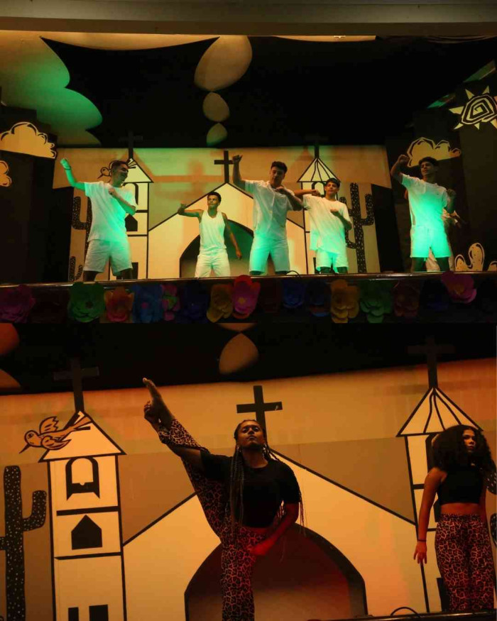 Registros FLINSP 2025