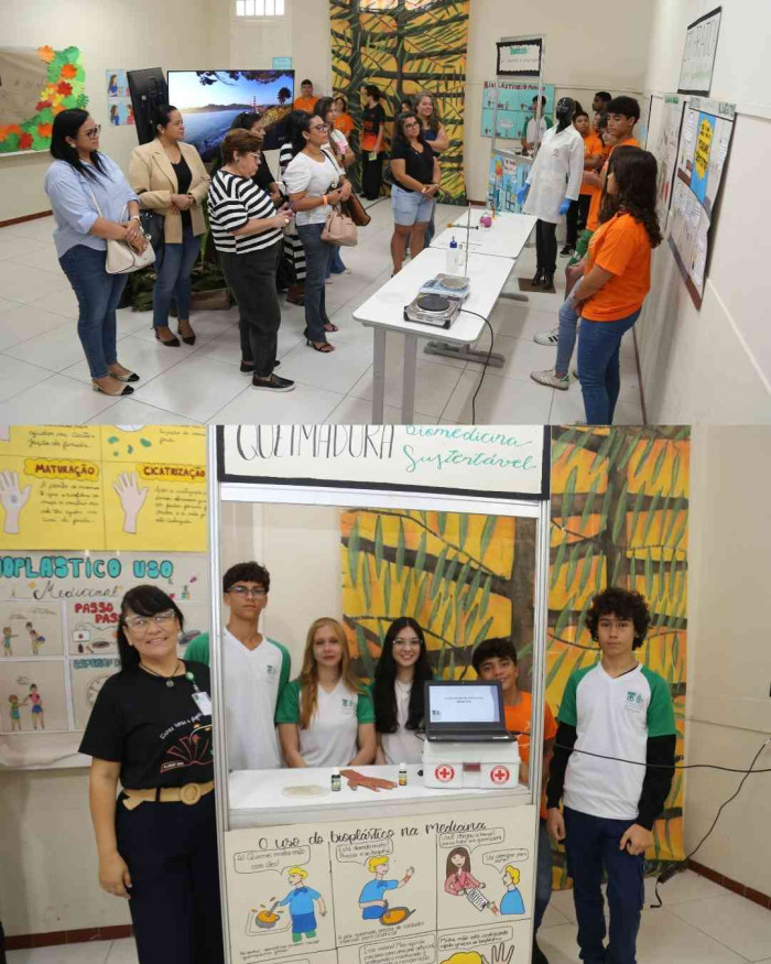 Registros FLINSP 2025