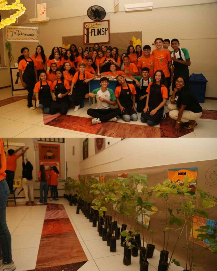 Registros FLINSP 2025