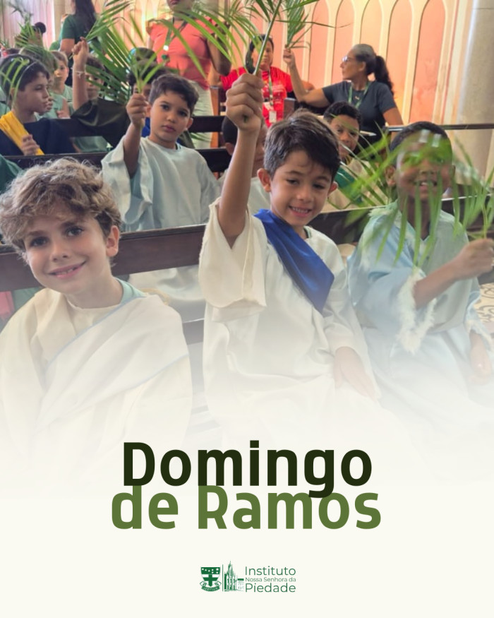 Instituto N. Sra. da Piedade